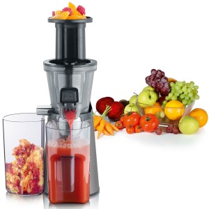 Severin Slow Juicer. Stående. Sorbet-funktion. 150W. 1000ml. Rostfritt stål. (ES3571) - Fri frakt, omgående leverans